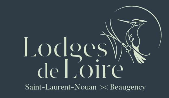 Lodge De Loire - B & B Proche Chambord Saint-Laurent-Nouan Exterior photo